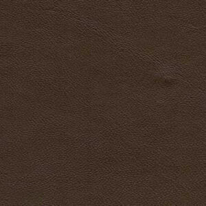 SY5004 Chocolate (M)