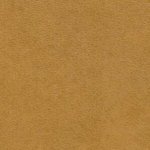 VC2476 Camel (L)
