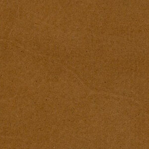 VC2496 Nougat (L)
