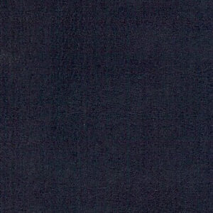 VC5470 Indigo Blue (L)