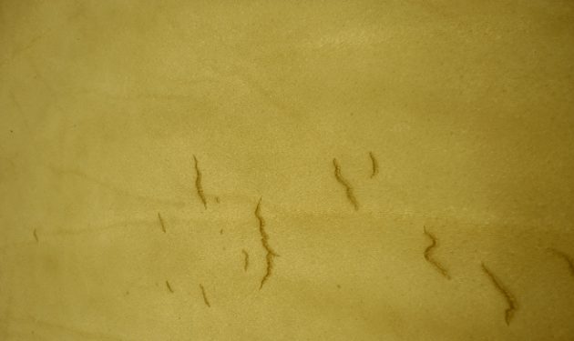 01_narbenplatzer-1-630x375 (2)