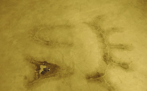 05_Brandzeichen-1 (1)