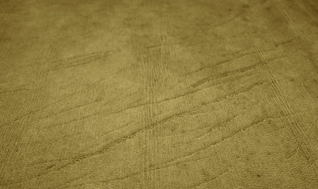 07_Heckenrisse-630x375