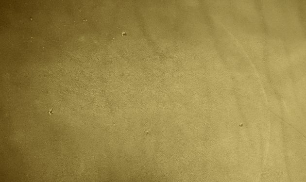 09_Gabelstiche-630x375