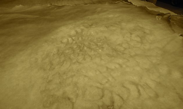 13_Mistflecken-630x375