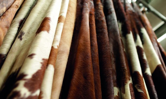 H6P2772_Rohhaut_Vorbereiten_100-630x375 (1)