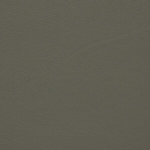 BN0132 Ash (L)