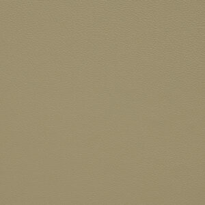 BN0176 Mushroom (L)