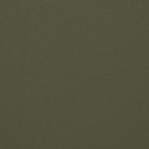 BN0184 Olive (L)