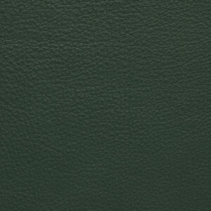 MA2042 Forest Green (L)