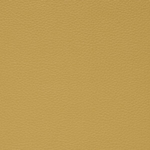 CL4204WM Yellow (L)