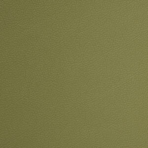 SI5189WM Pistachio (L)